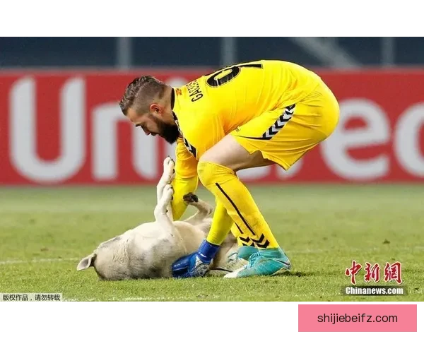 保顿艾尔宾鏖战巴恩斯利赛场激战1比1握手言和